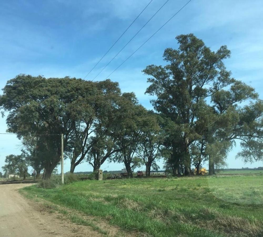 Venta de campo 5HAS en la Celina, San Pedro