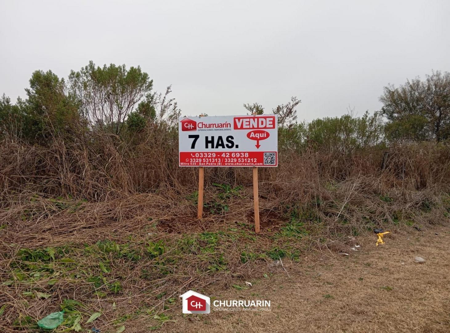 Foto de Campo en ramallo, imagen 4