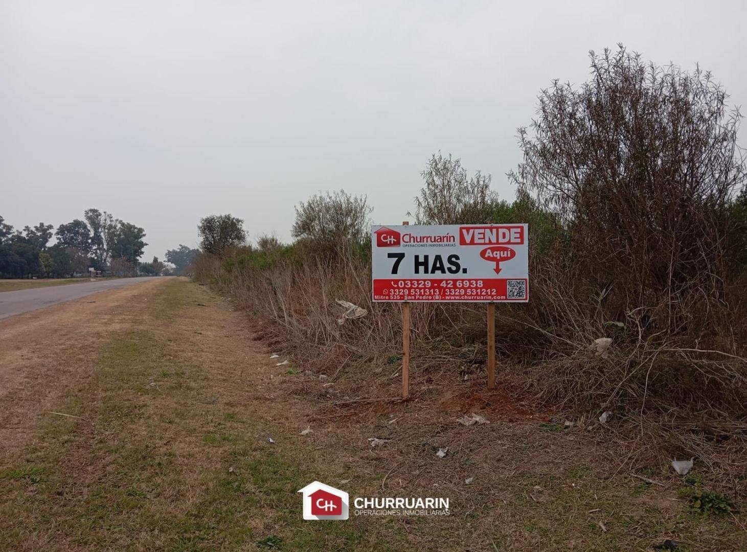 Foto de Campo en ramallo, imagen 3