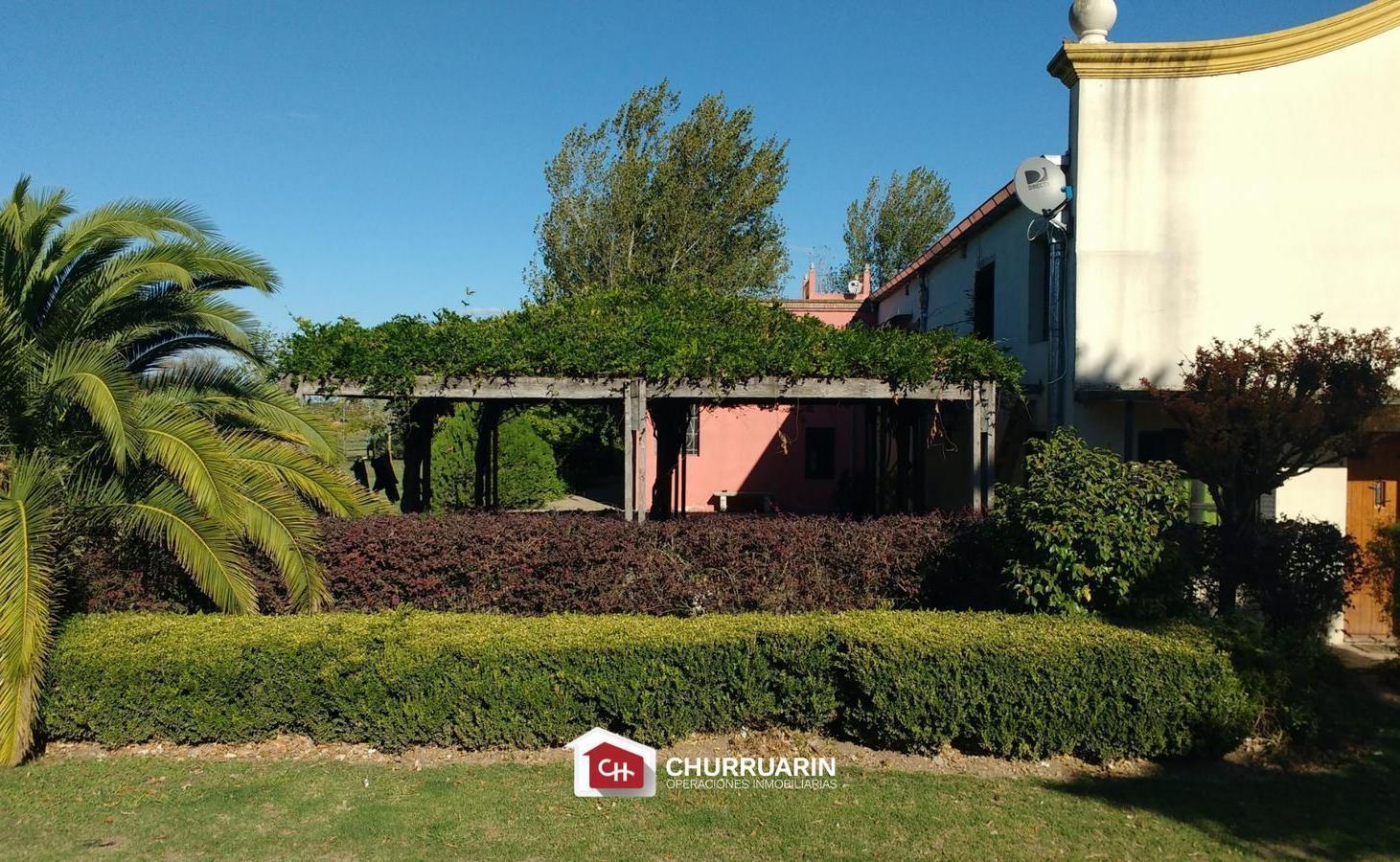 Foto de Campo en San Pedro, imagen 2