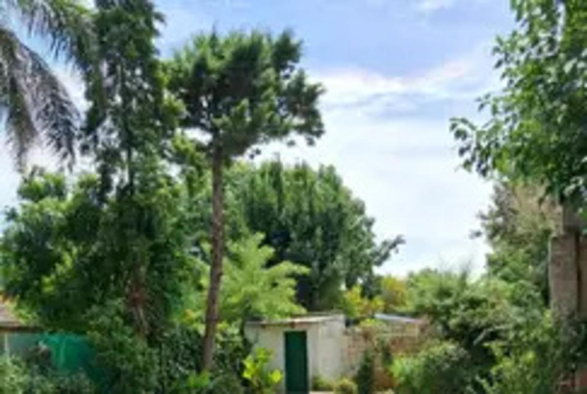 Foto de LOTE TERRENO 10 X 45 CON PILETA, imagen 5