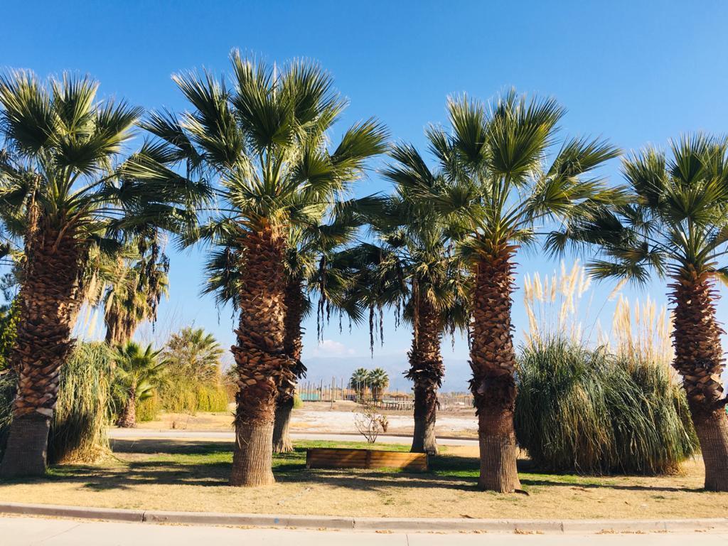 Lote en Venta «nautilus Country» Oportunudad 2