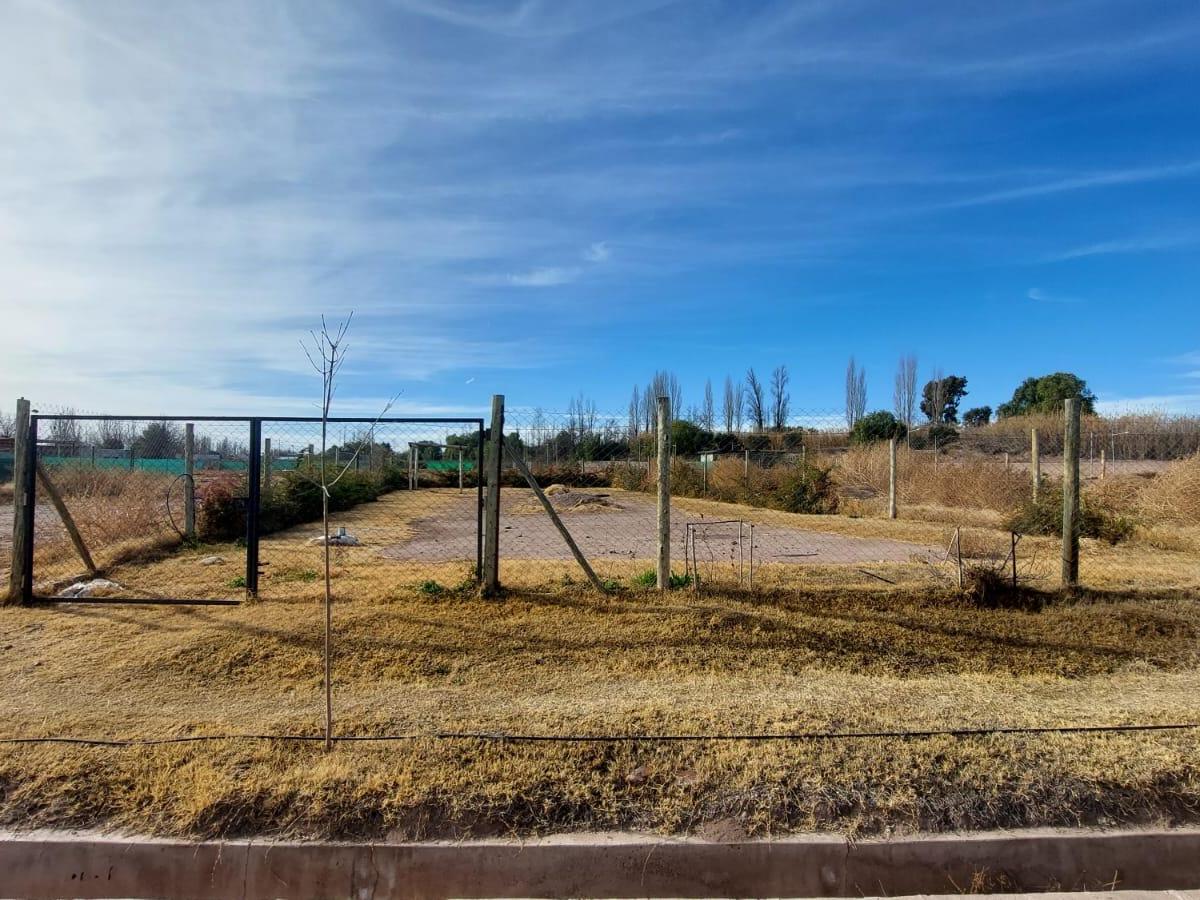 Lotes en Venta – Barrio Privado “ampros Vi”, Lulunta, Maipú, Mendoza 5