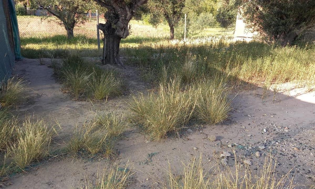 Lote en Venta - Perdriel - Luján de Cuyo - Bºprivado Terrada Sur 3
