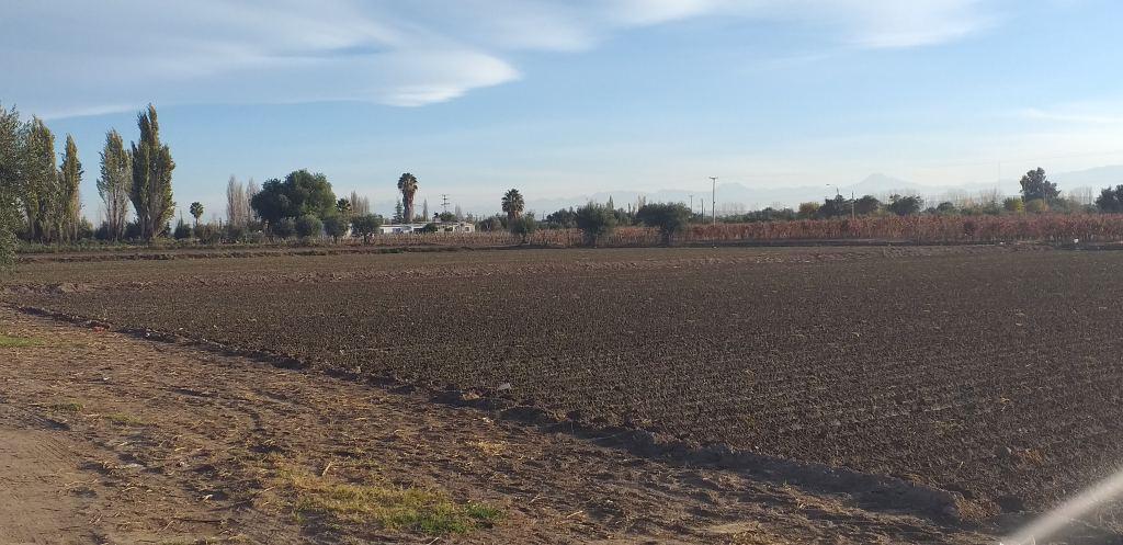LOTE RUTA 60 Y ZANETTI, MAIPU MENDOZA