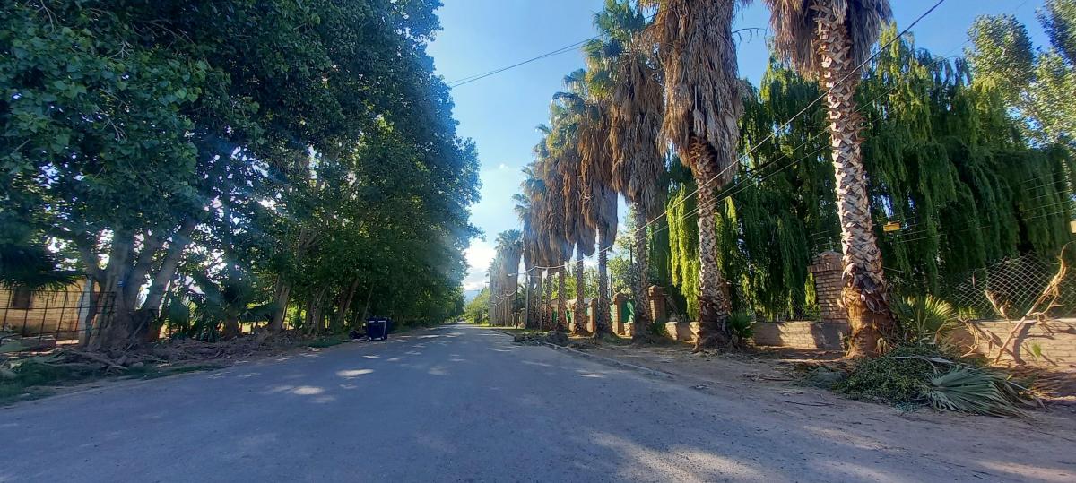Lote en Venta - B° Verde Pueblo - El Sauce - Gllén - Mendoza 5