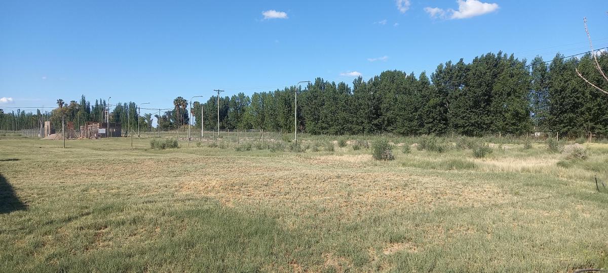 Lote en Venta - B° Verde Pueblo - El Sauce - Gllén - Mendoza 3