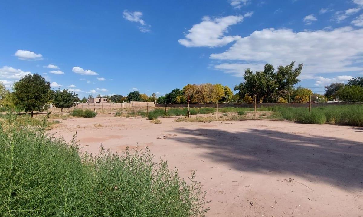 Lote en Venta - Barrio Nuestra Sra del Rosario - Gllén Mendoza 2