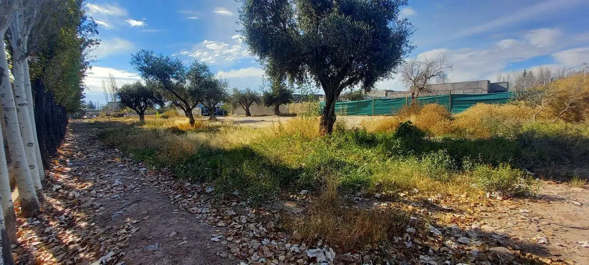 LOTE en Venta, Bº SUELOS DE TROPERO, COQUIMBITO, MAIPÚ 2