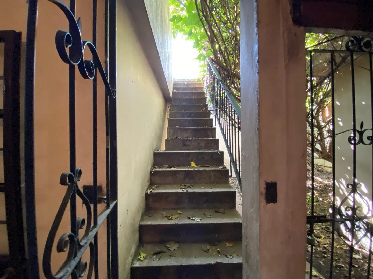 Casa 3 ambientes. | Artigas al 3300 5