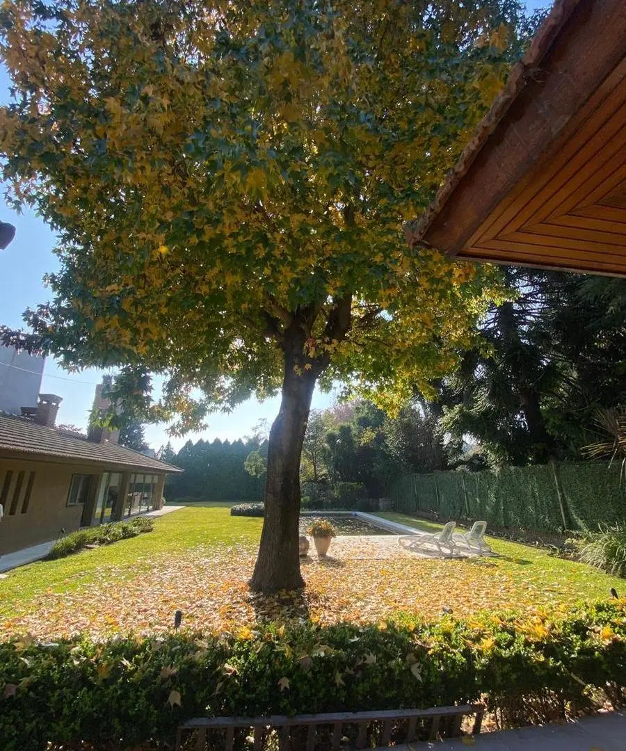 Terreno unico en Victoria 5