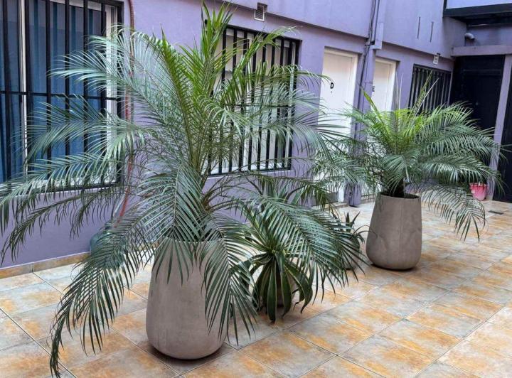 DEPARTAMENTO  2 AMBIENTES EN SAN JUSTO MUY AMPLIO 5