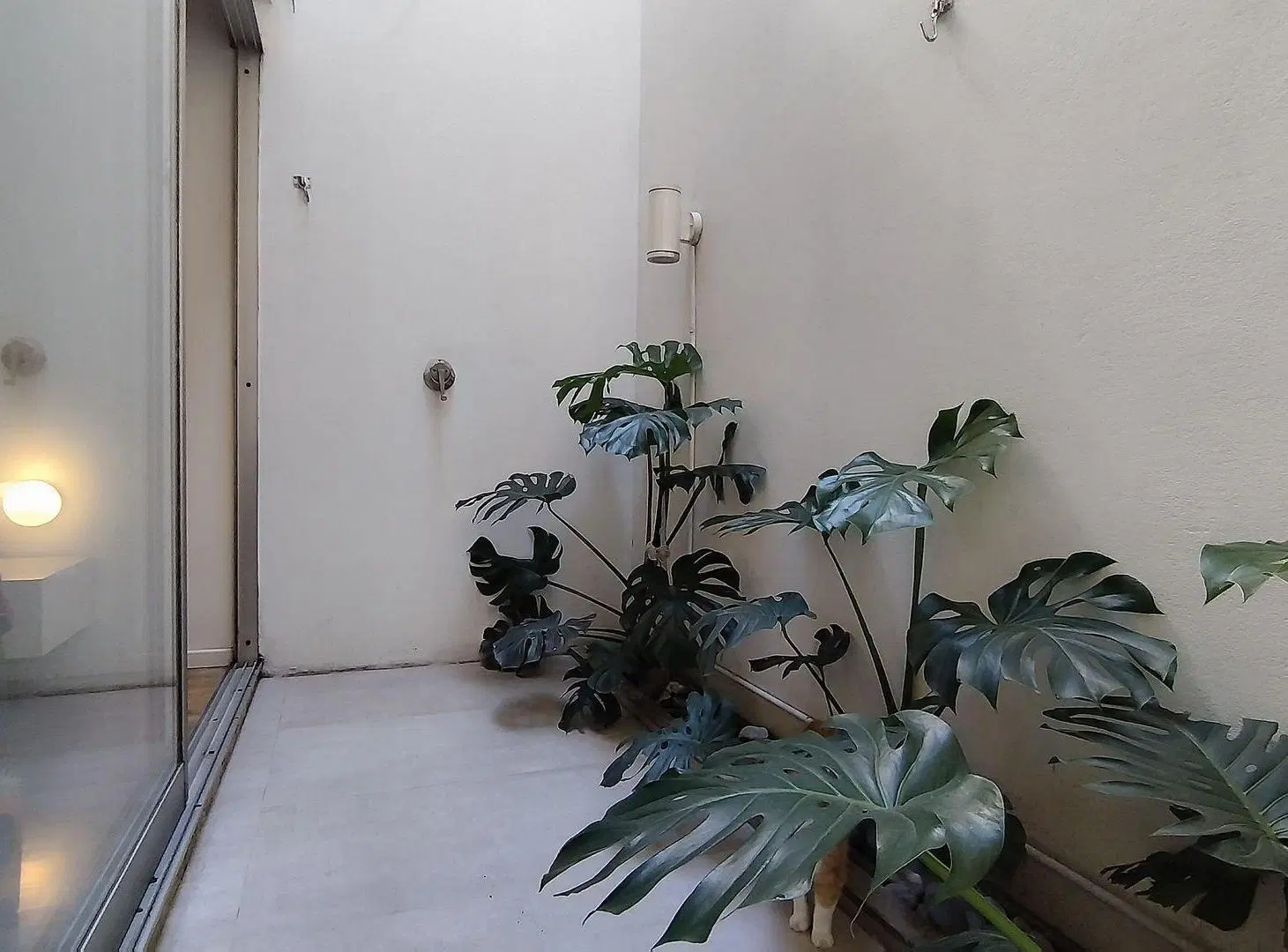 ​PH VILLA CRESPO LOFT 2 AMB DISEÑO UNICO Y PATIO 4