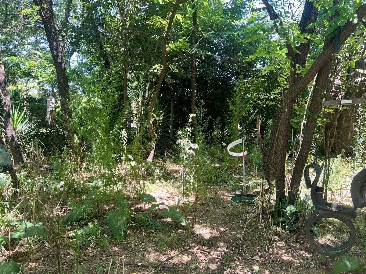 LOTE DE TERRENO EN GENERAL RODRIGUEZ 3