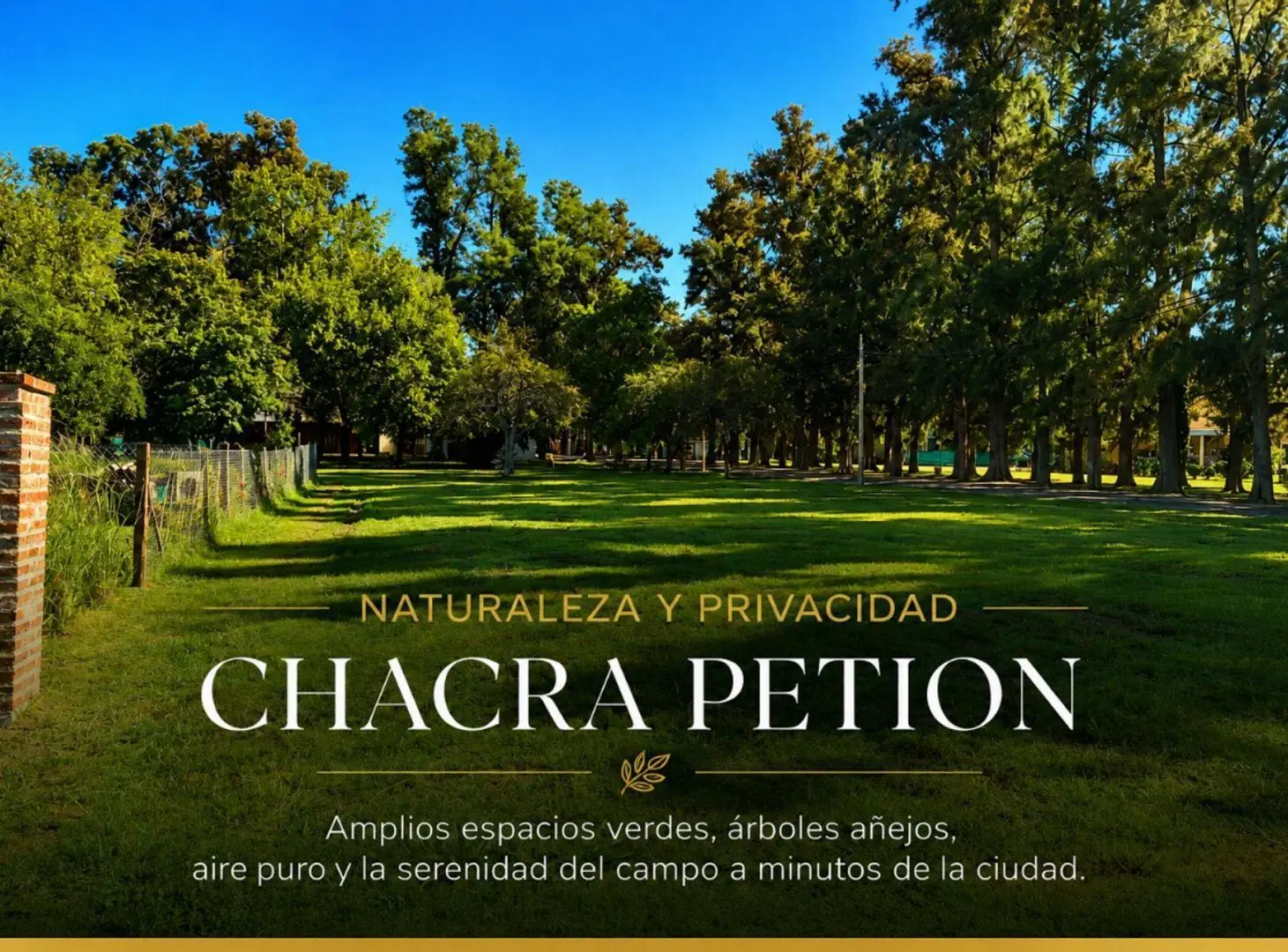 VENTA LOTE CHACRA PETION CAÑUELAS 3