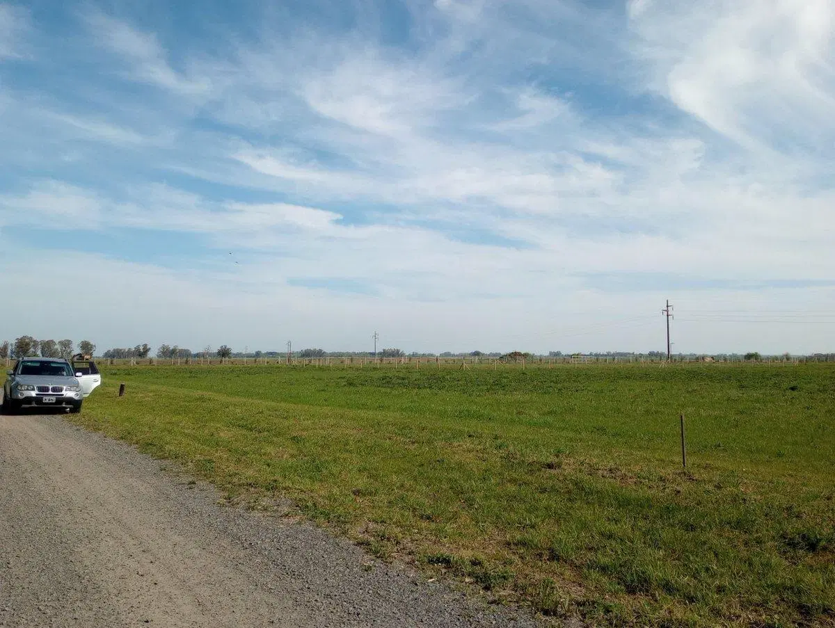 VENTA LOTE 1000M2 TRES PINOS GENERAL RODRIGUEZ 2