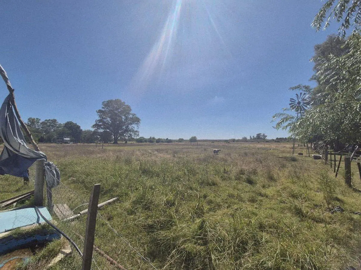 VENTA CAMPO 25000 MTS2 GENERAL RODRIGUEZ 5