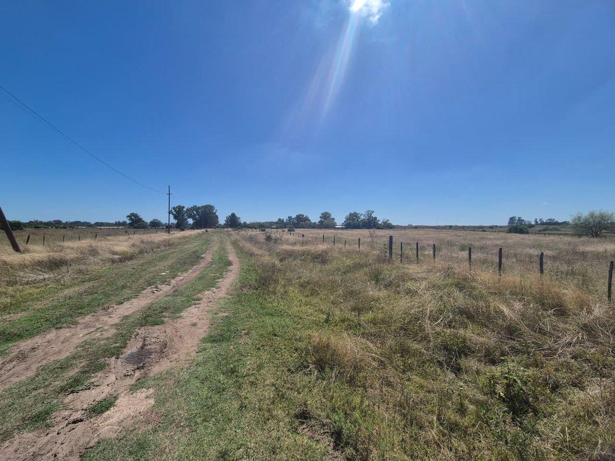 VENTA CAMPO 25000 MTS2 GENERAL RODRIGUEZ