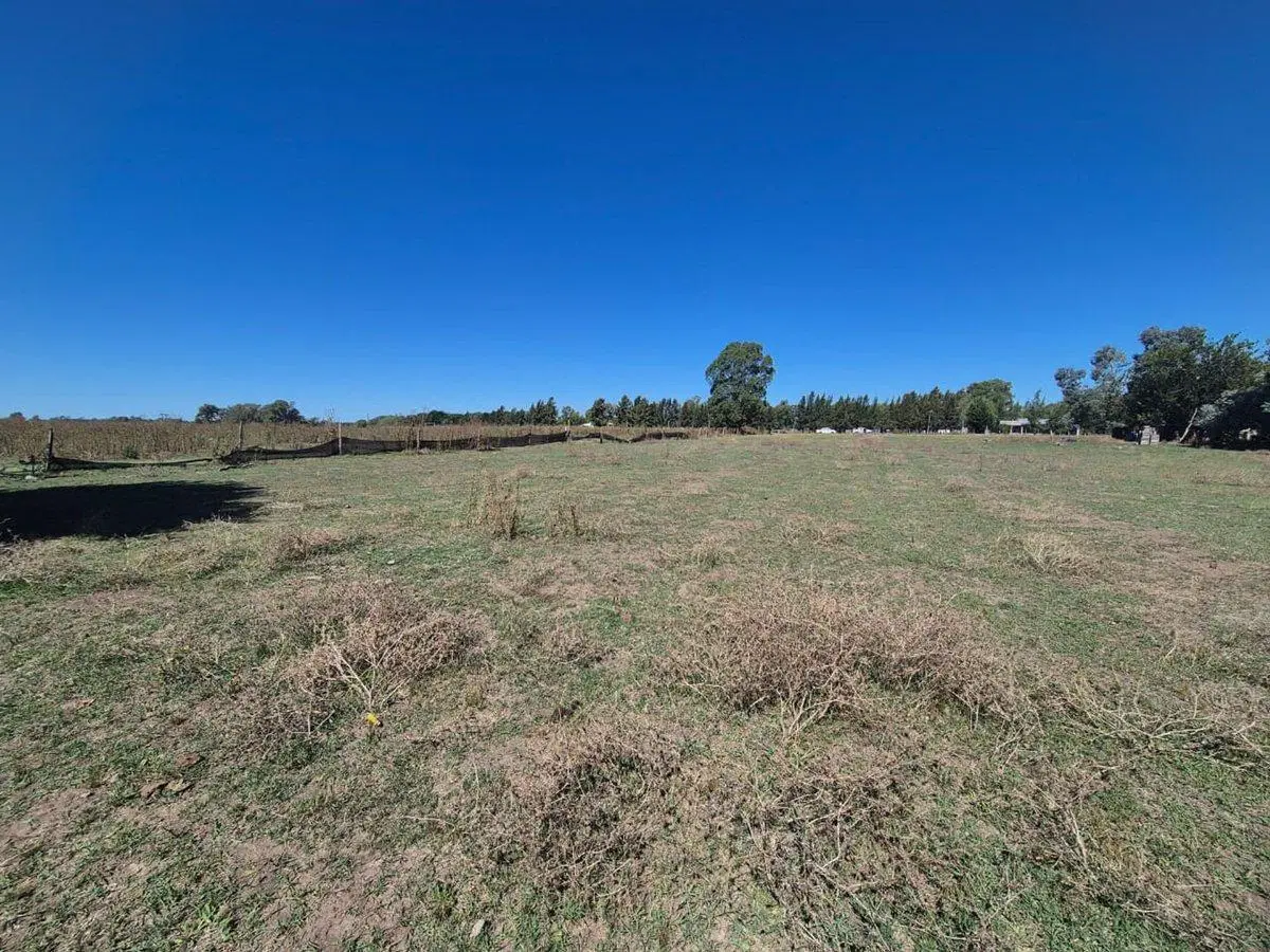 VENTA CAMPO 25000 MTS2 GENERAL RODRIGUEZ 4