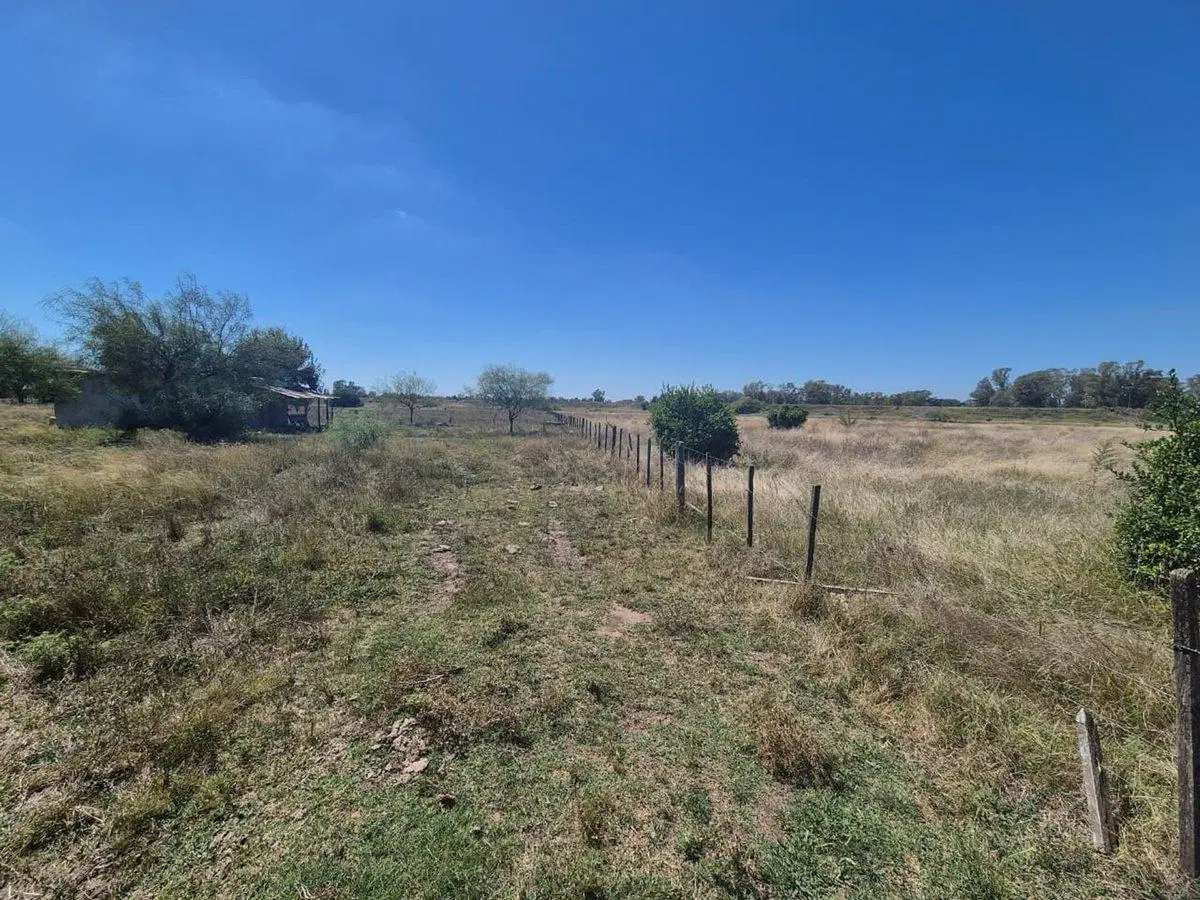 VENTA CAMPO 25000 MTS2 GENERAL RODRIGUEZ 3