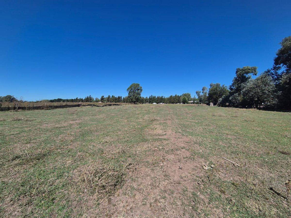VENTA CAMPO 25000 MTS2 GENERAL RODRIGUEZ