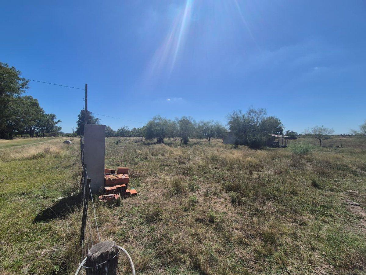 VENTA CAMPO 25000 MTS2 GENERAL RODRIGUEZ