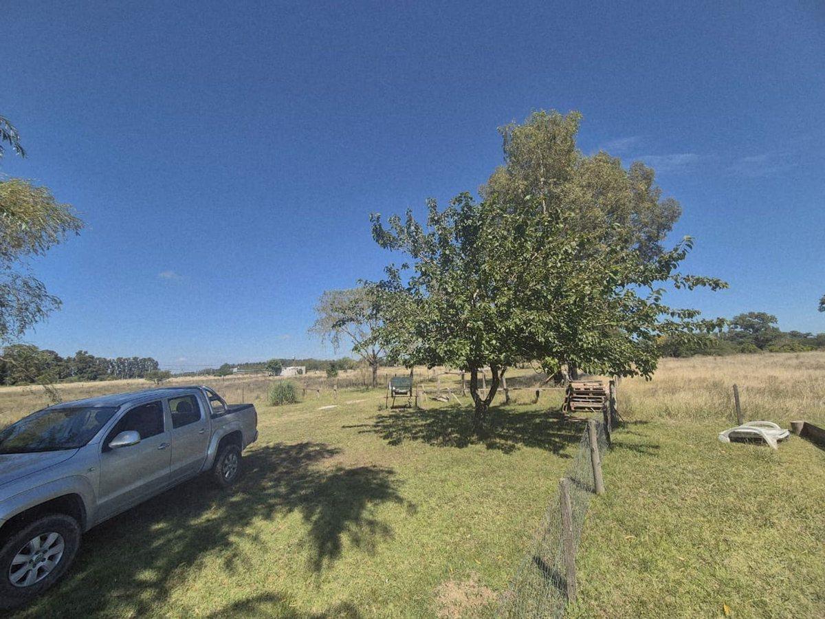 VENTA CAMPO 25000 MTS2 GENERAL RODRIGUEZ
