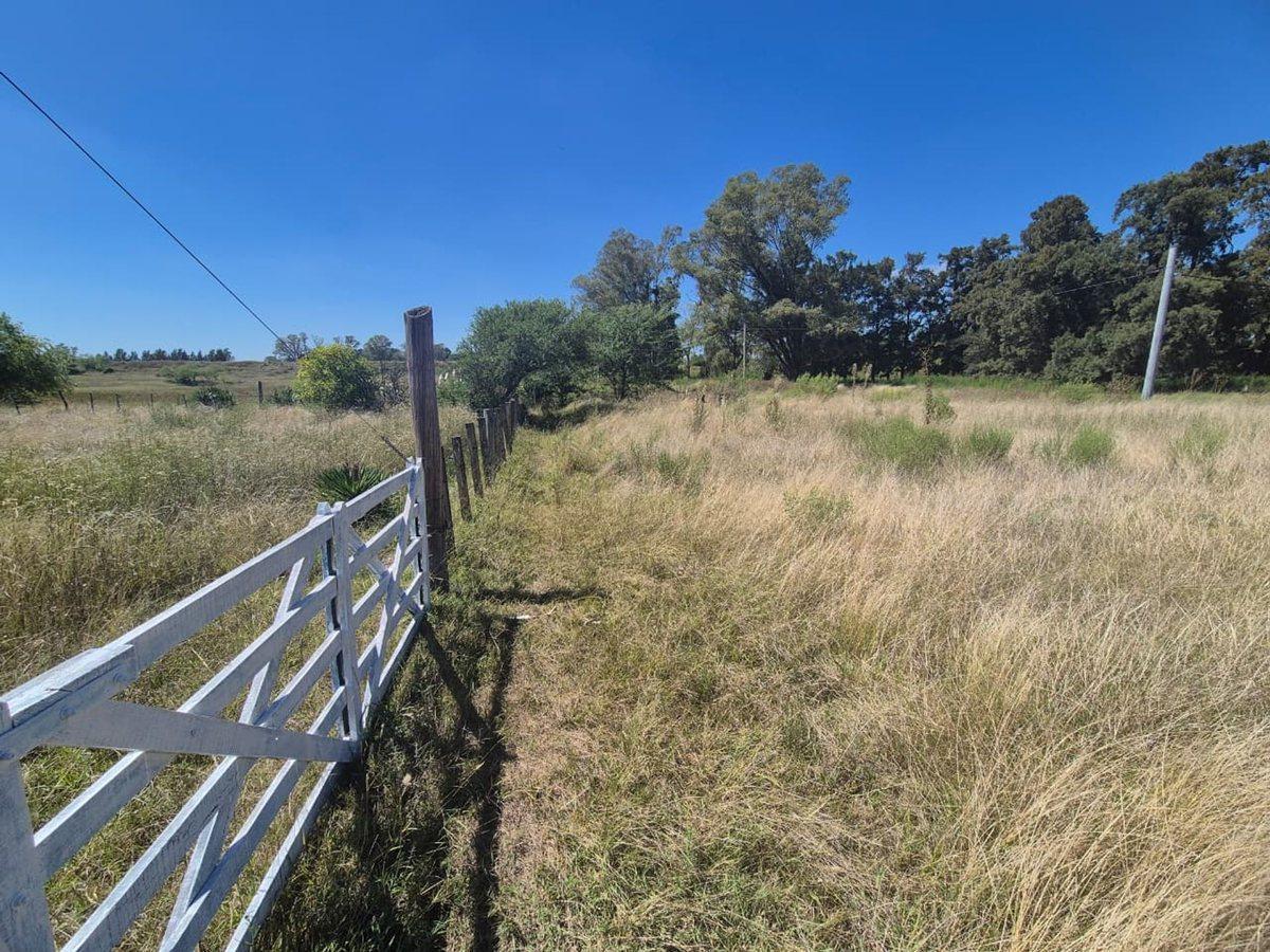 VENTA CAMPO 25000 MTS2 GENERAL RODRIGUEZ