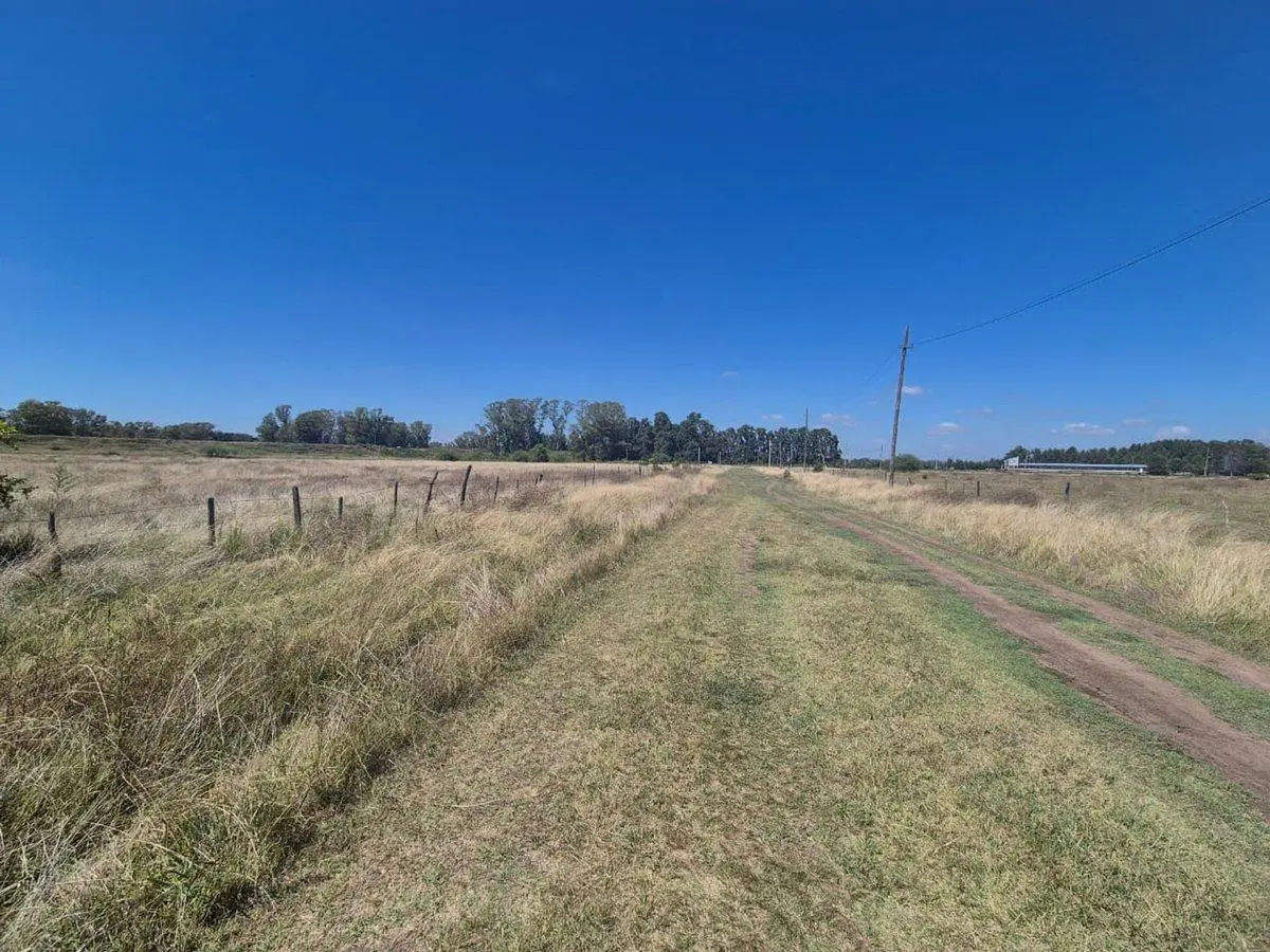 VENTA CAMPO 25000 MTS2 GENERAL RODRIGUEZ 4