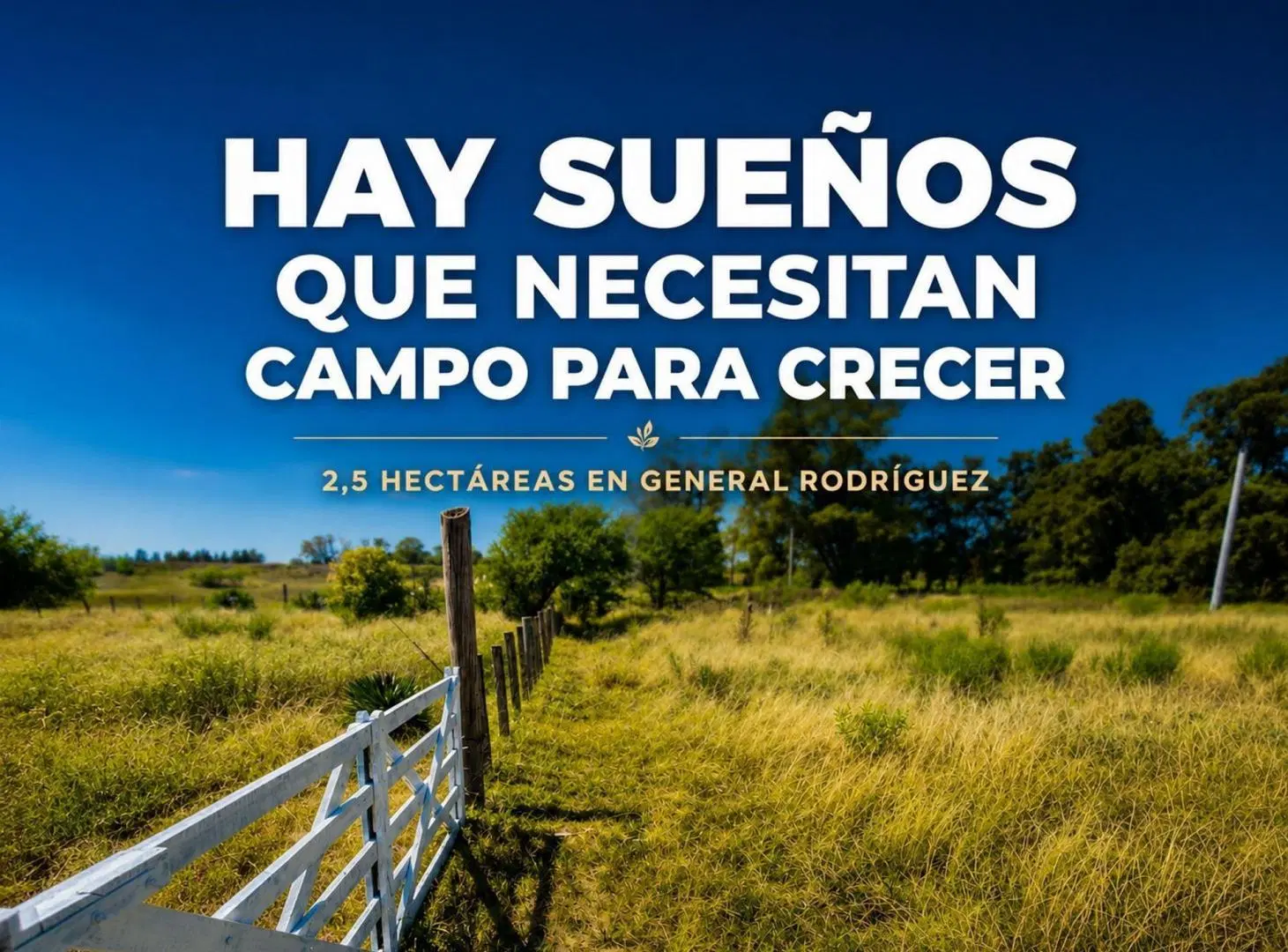 VENTA CAMPO 25000 MTS2 GENERAL RODRIGUEZ 2