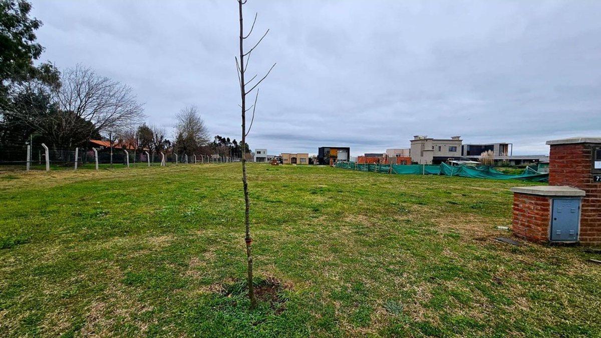 VENTA LOTE PILAR DEL ESTE