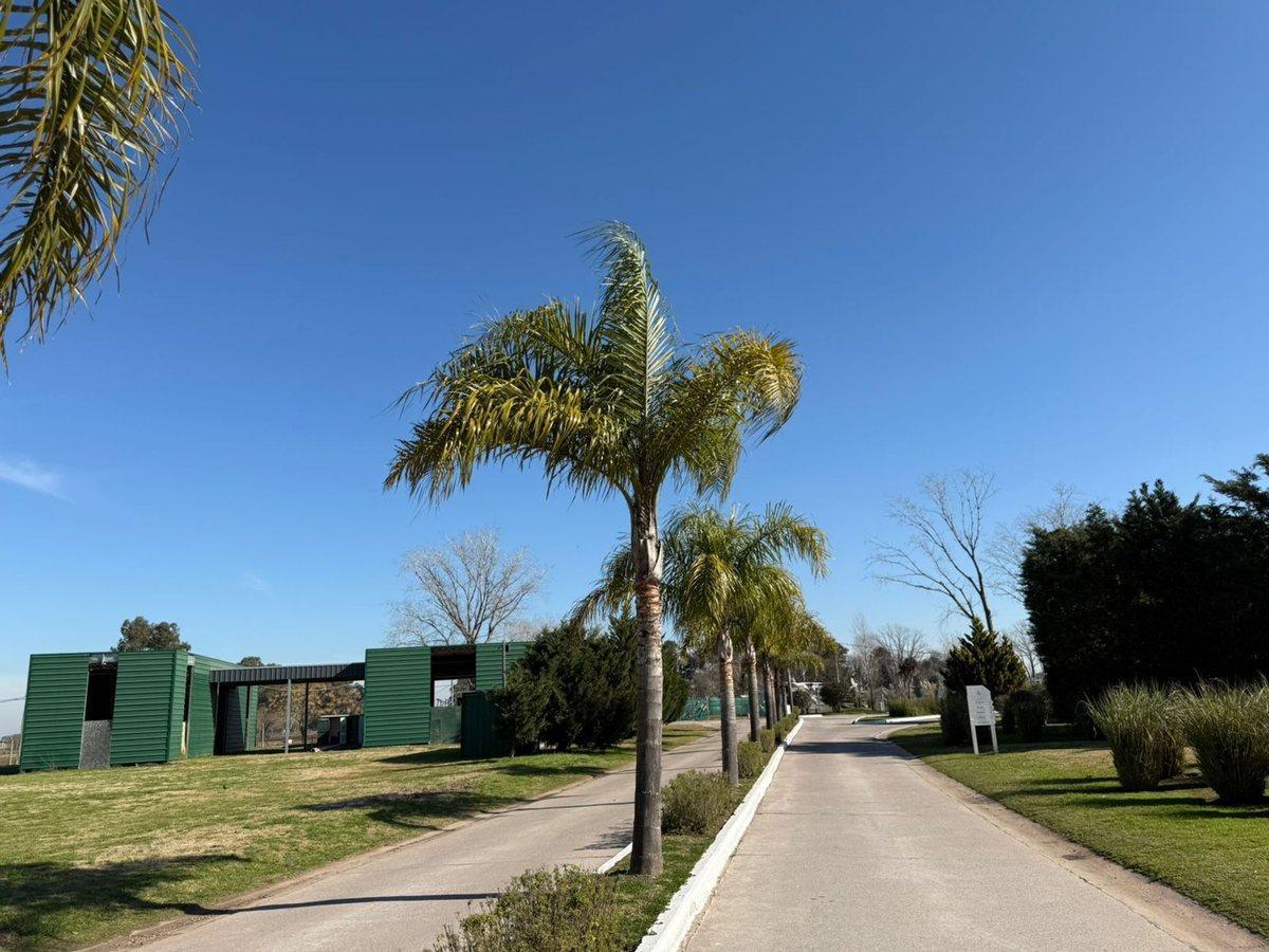 CASA 4 AMBIENTES EN BARRIO LA ALAMEDA 150 M2