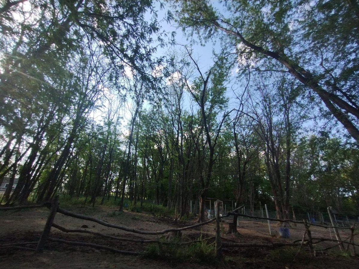 VENTA LOTE 26 HECTAREAS PILAR INVERSION