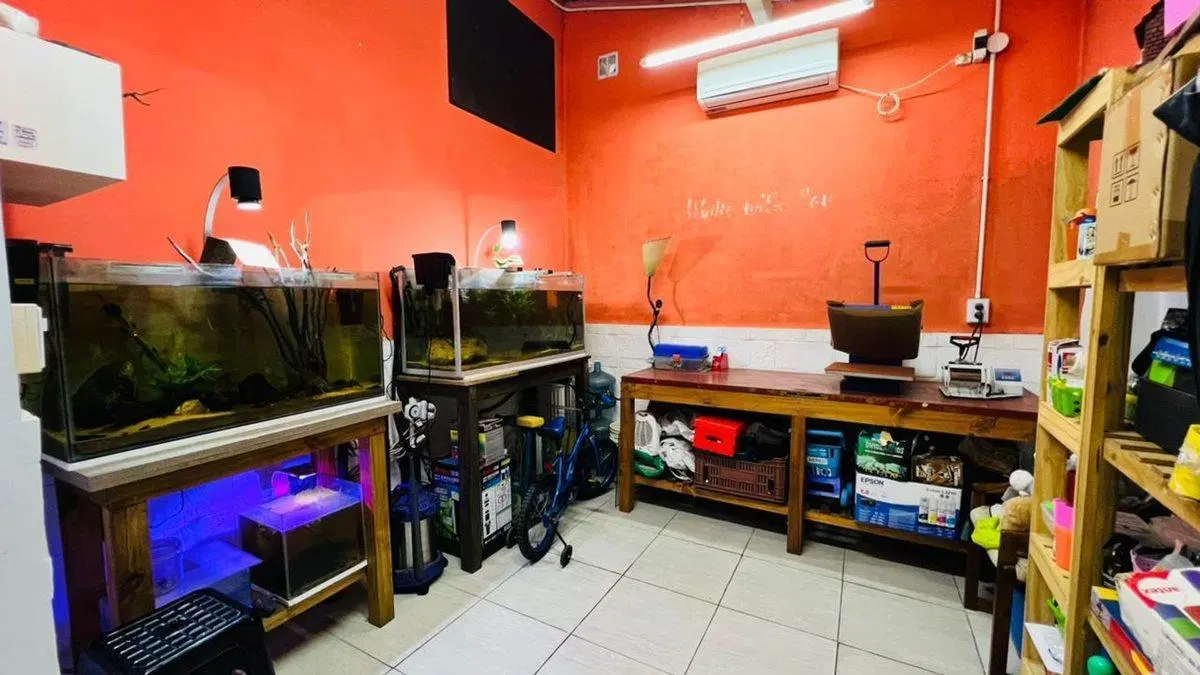 VENTA CASA 4 AMBIENTES MORON JARDIN PILETA 8