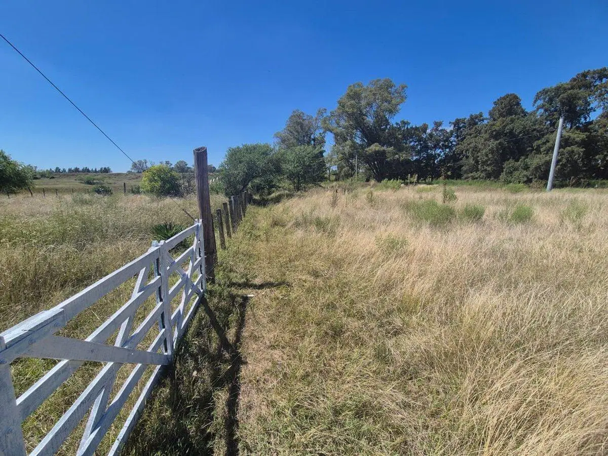 VENTA CAMPO 25000 MTS2 GENERAL RODRIGUEZ 4