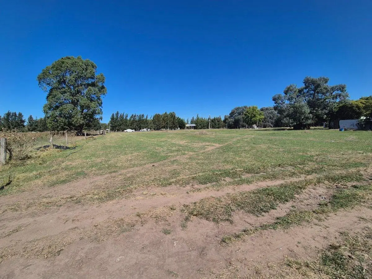 VENTA CAMPO 25000 MTS2 GENERAL RODRIGUEZ 2