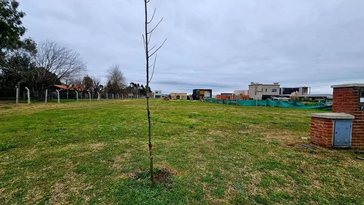 VENTA LOTE PILAR DEL ESTE 8