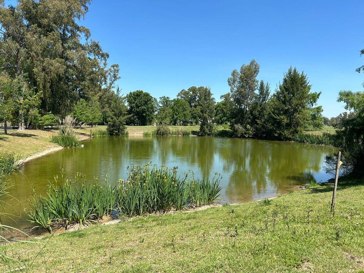 Foto de VENTA LOTE 1293MTS CAÑUELAS METEJON CAMPO PRIVADO, imagen 5