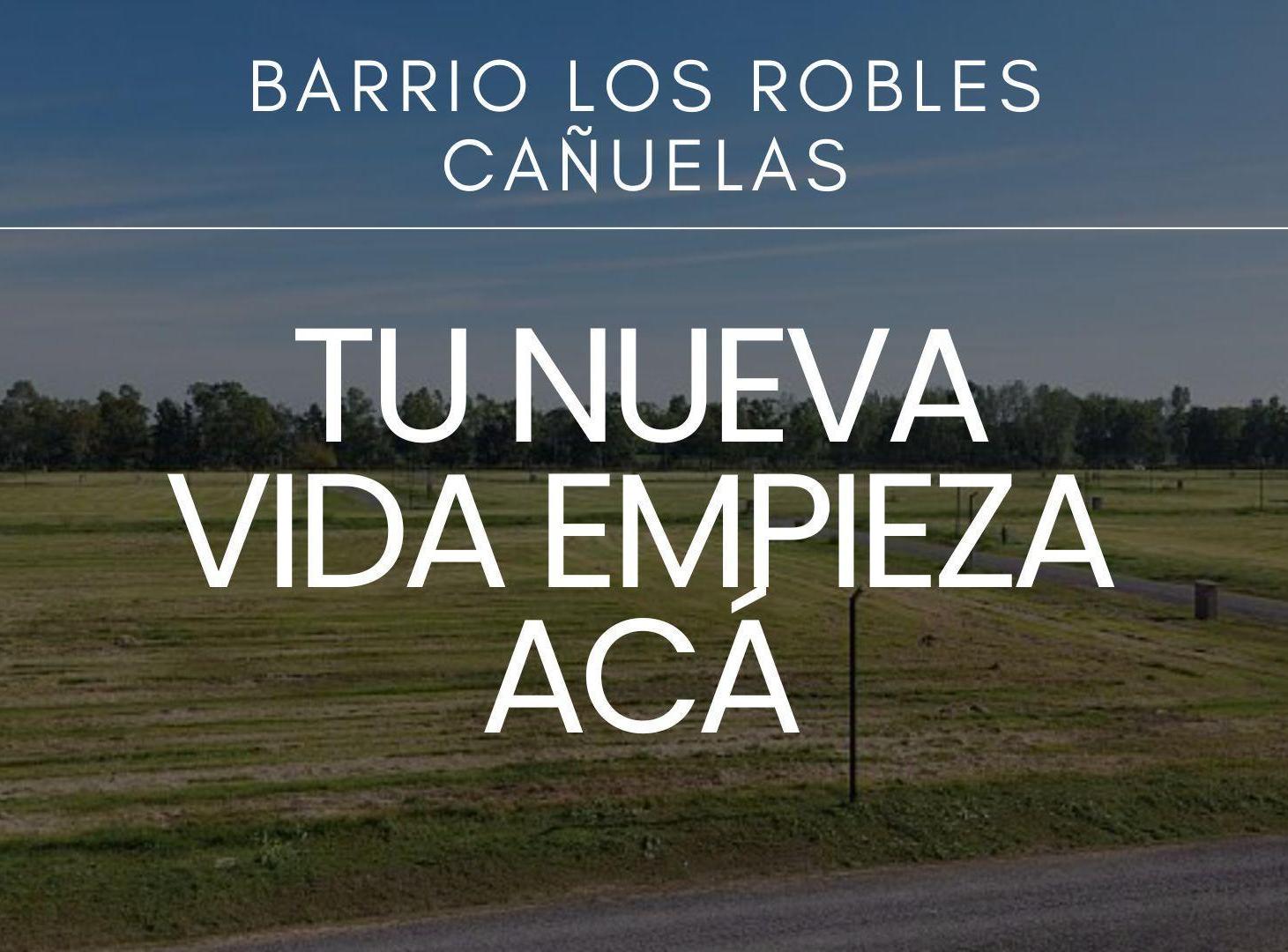 Foto de LOTE 1003M BARRIO LOS ROBLES CAÑUELAS PERMUTA AUTO, imagen 4