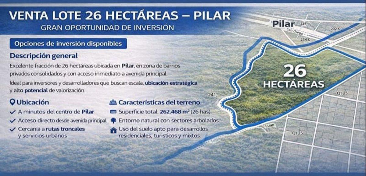 Foto de VENTA LOTE 26 HECTAREAS PILAR INVERSION, imagen 4