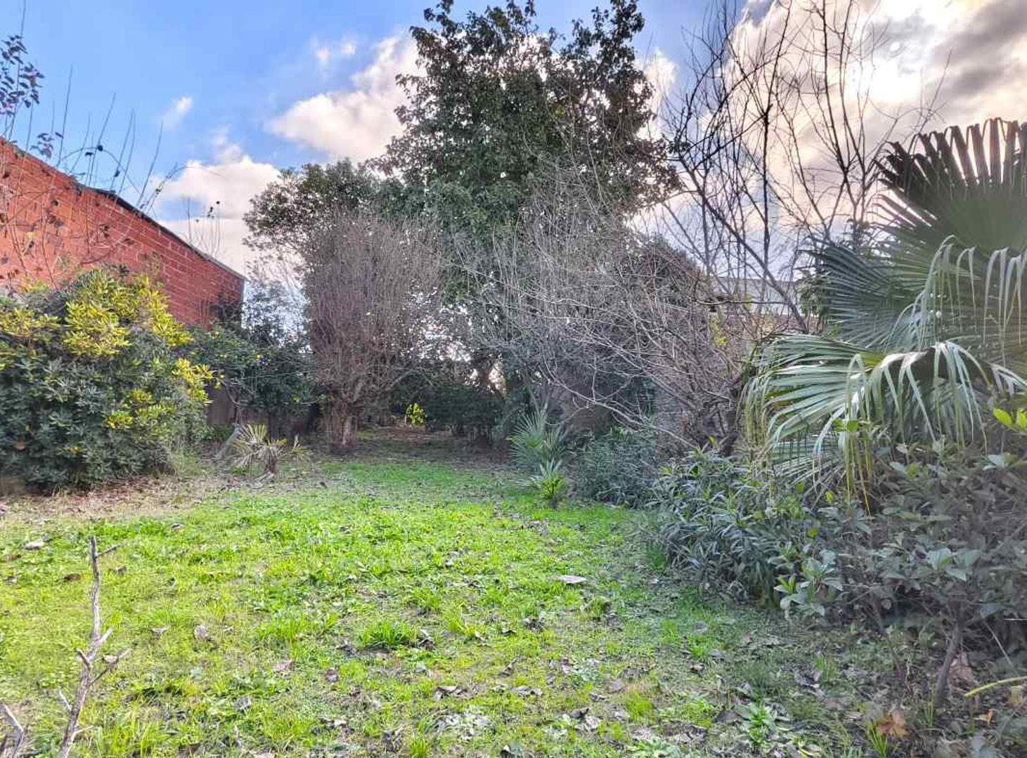 Foto de VENTA LOTE 11.50 X 67,70 VILLA MADERO, imagen 2