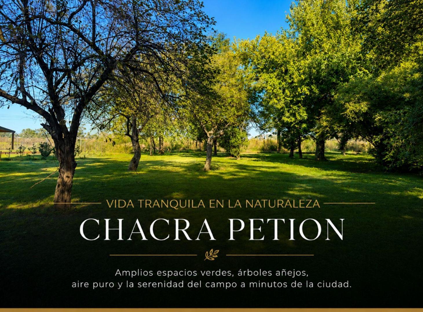 Foto de VENTA LOTE CHACRA PETION CAÑUELAS, imagen 1