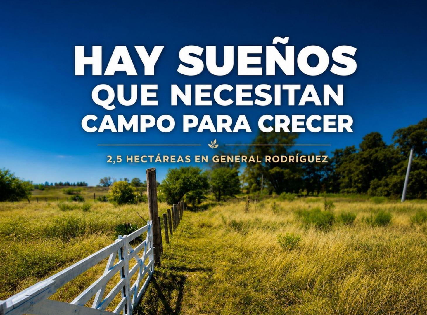 Foto de VENTA CAMPO 25000 MTS2 GENERAL RODRIGUEZ, imagen 1