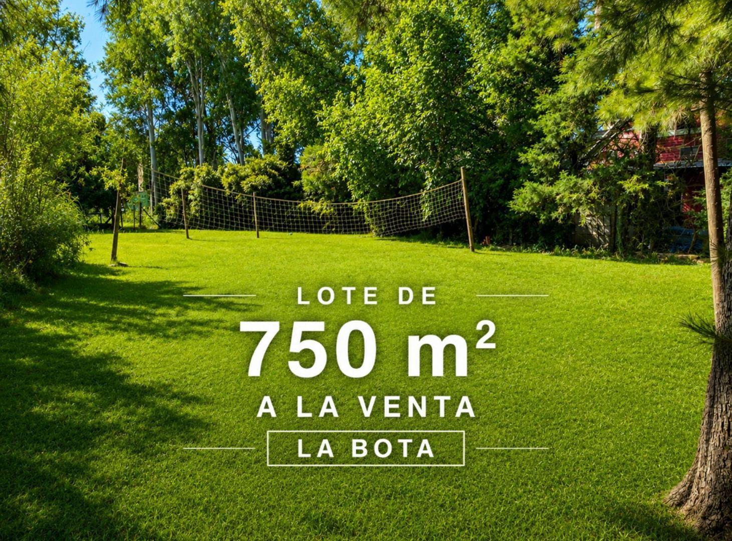 Foto de VENTA LOTE LA BOTA INGENIERO MASCHWITZ, imagen 2
