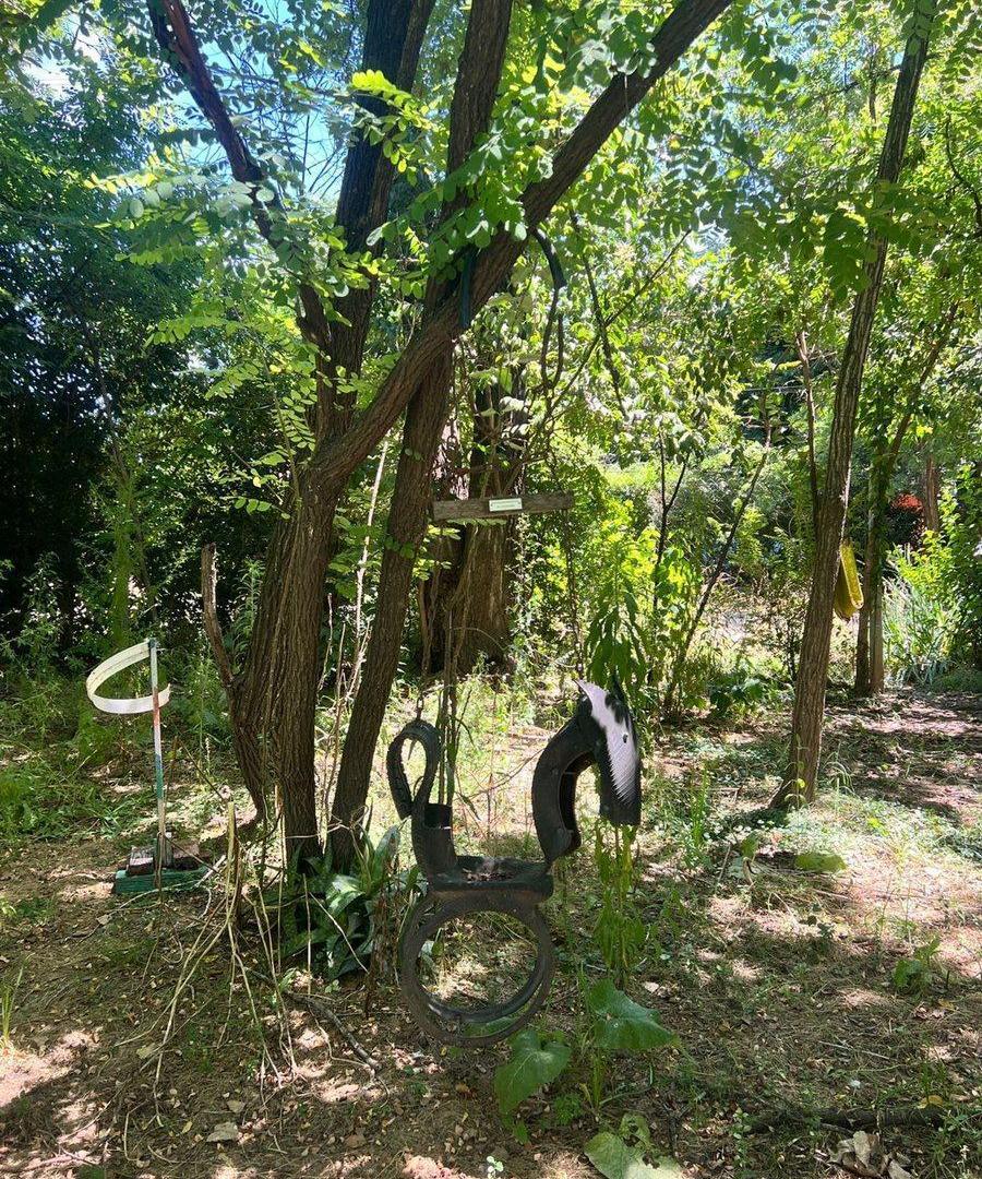 Foto de LOTE DE TERRENO EN GENERAL RODRIGUEZ, imagen 5