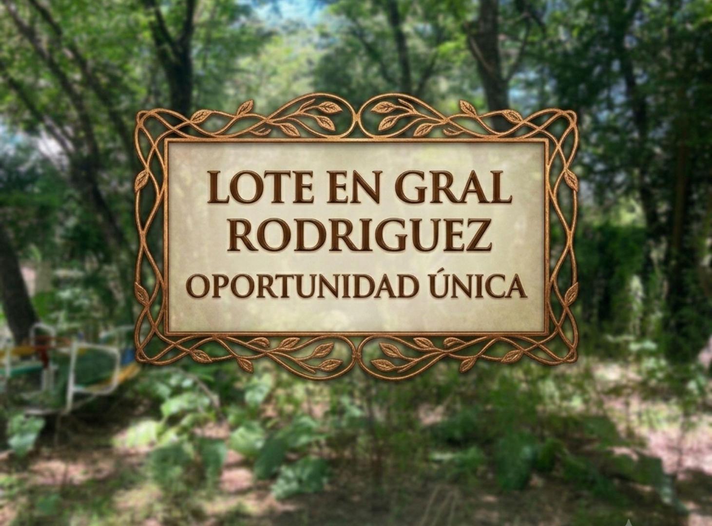 Foto de LOTE DE TERRENO EN GENERAL RODRIGUEZ, imagen 1