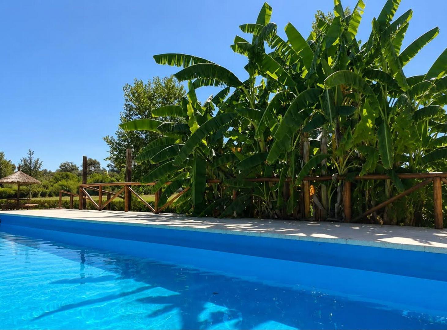 Foto de VENTA CASA QUINTA MAS SALON DE EVENTOS PONTEVEDRA, imagen 3
