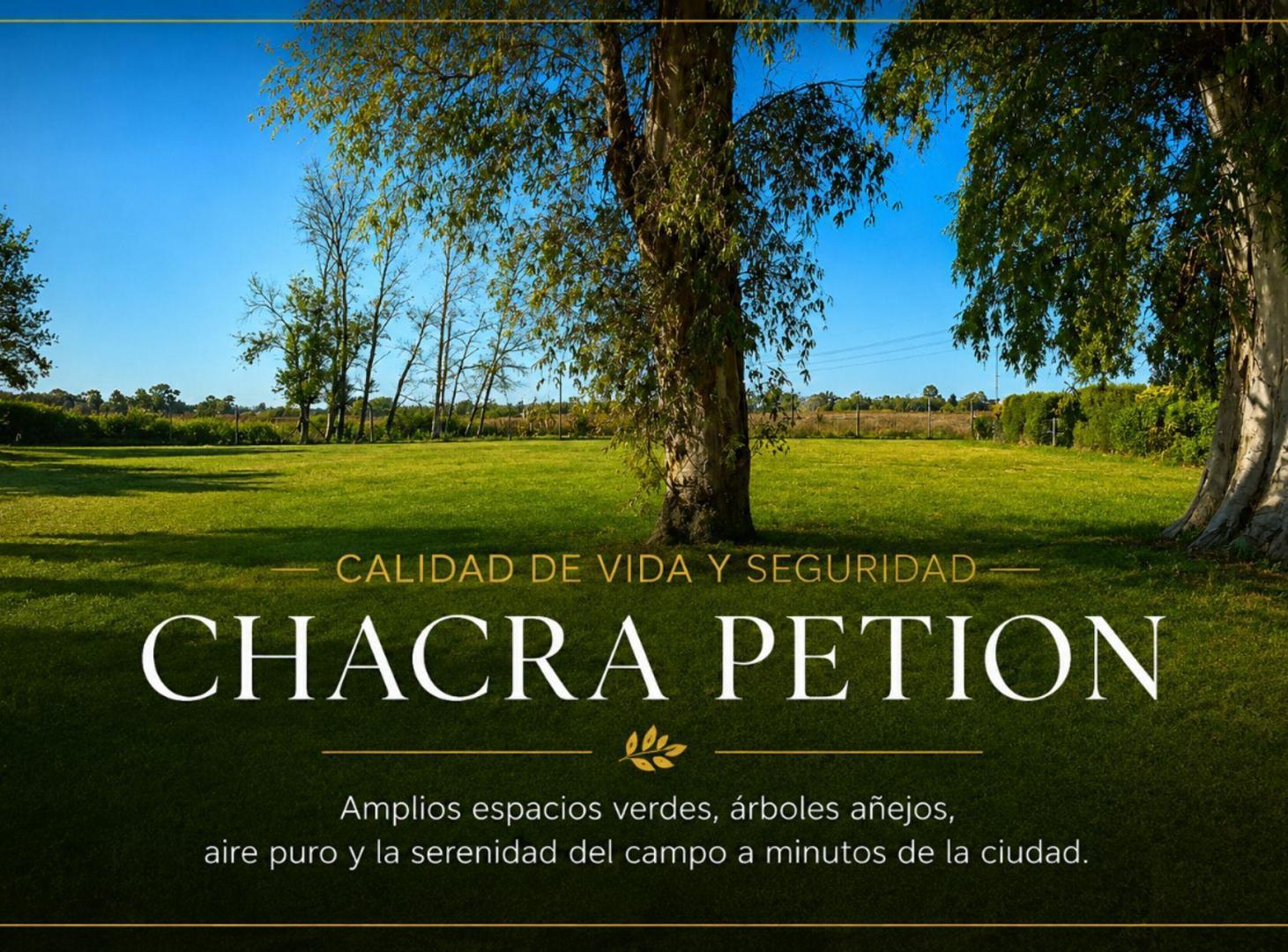 Foto de VENTA LOTE CHACRA PETION CAÑUELAS, imagen 5