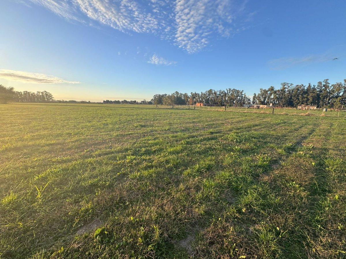 Foto de VENTA LOTE BARRIO CHACRAS DE SAN ANDRES 2531 m2, imagen 4