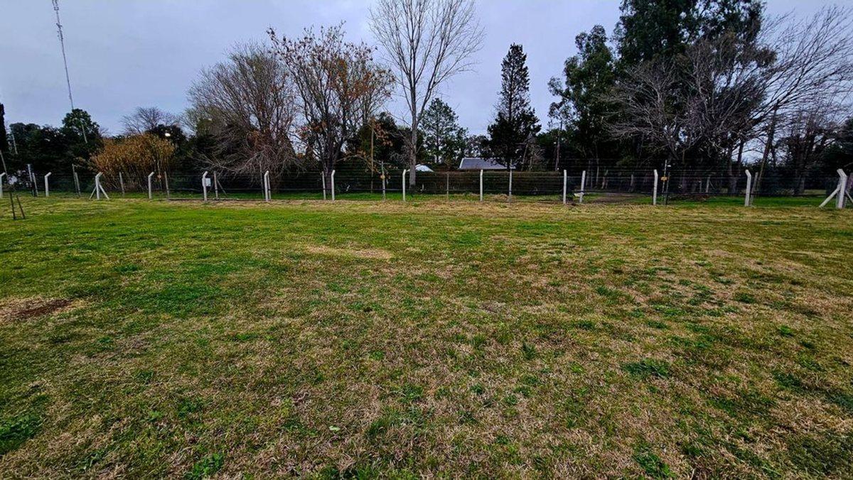 Foto de VENTA LOTE PILAR DEL ESTE, imagen 2
